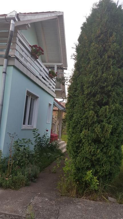 Casa Cristina Villa Sovata Bagian luar foto