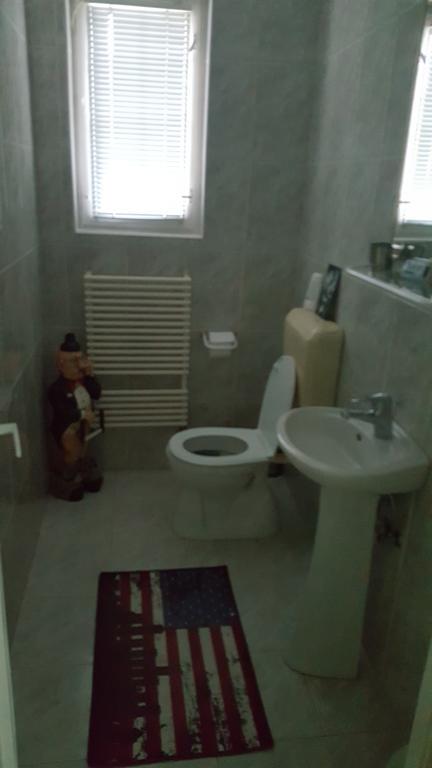 Casa Cristina Villa Sovata Bagian luar foto