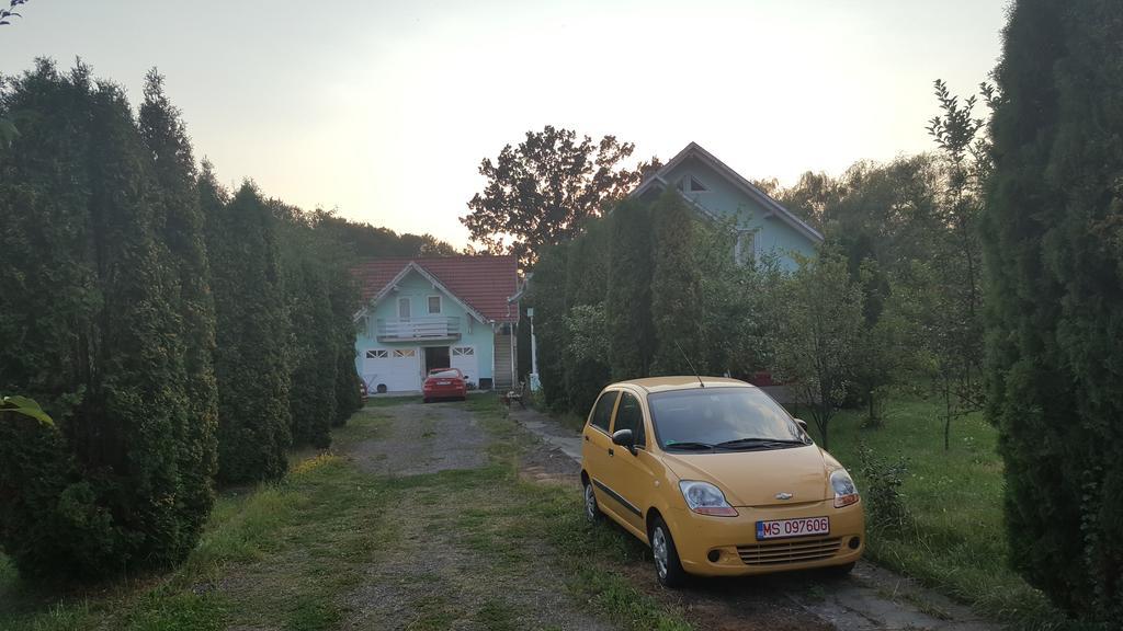Casa Cristina Villa Sovata Bagian luar foto