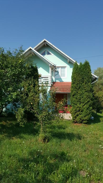 Casa Cristina Villa Sovata Bagian luar foto